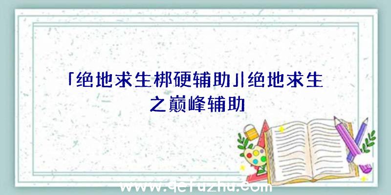 「绝地求生梆硬辅助」|绝地求生之巅峰辅助